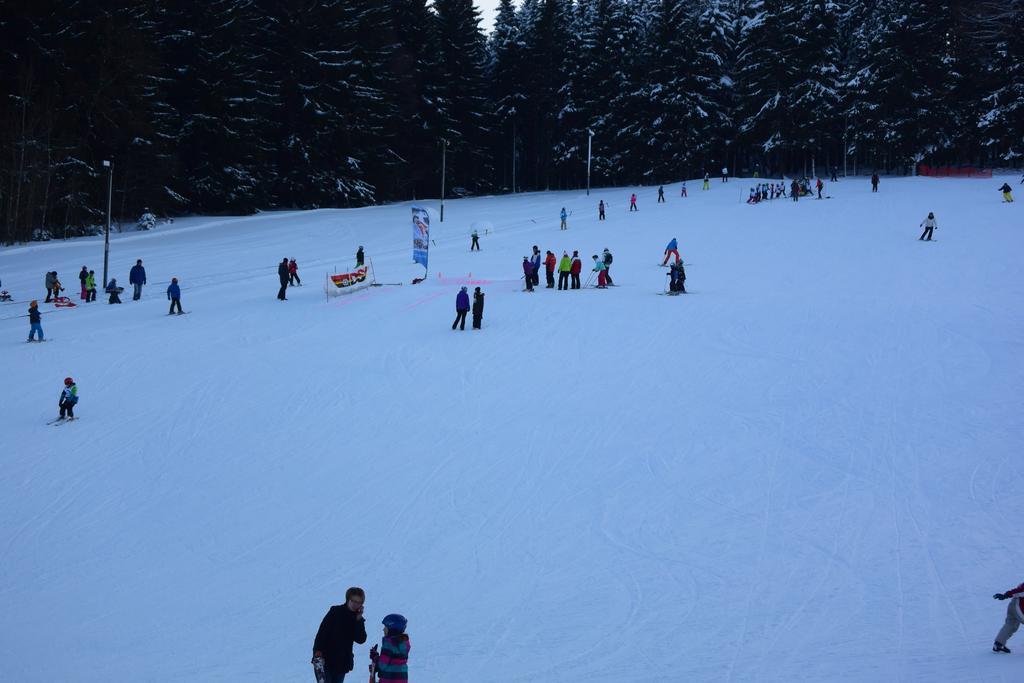 Landhotel Henkenhof Willingen Willingen  Bagian luar foto